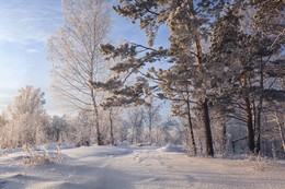 Зимний свет. / ***