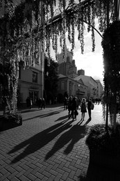 Кружок / Арбатская жизнь