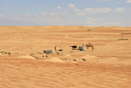&nbsp; / Пустыня Вахиба в Омане