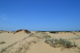 *Алешковские пески** / Алешковские пески — песчаная арена, раскинувшаяся в Цюрупинском районе Херсонской области, в 30 км. от областного центра. В диаметрепески достигают 15 км. и является огромнейшим массивом песка в Европе.