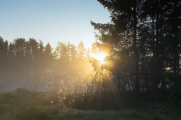 Солнечная паутина / Туманные рассветы.