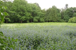 Лето, привет / Вот и лето пришло