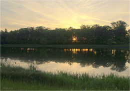 там, за деревьями.... / ***