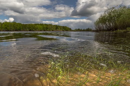 Июньский день / Подозерье