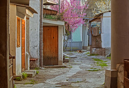 крымская фоточка #9 (дворы, цветочки и перспектива) / город Евпатория, весна 2018 года от Р. Х.