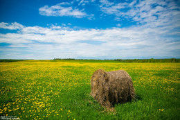 Красивая Россия / По дороги в Шерегеш