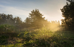 Доброго утра!!! / Рассветные туманы.