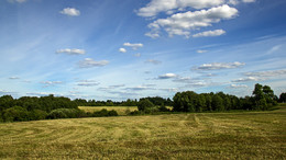 Июньский вид / Июнь в Беларуси выдался погожим .