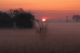 Утро будет добрым / Из окна. Восход в усадьбе Антика Голена. Эмилия-Романья, Италия.