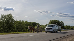 Все очень серьезно. / Ну , подружка верная,
Тпру , старушка древняя,
Стань , машина в стороне ...