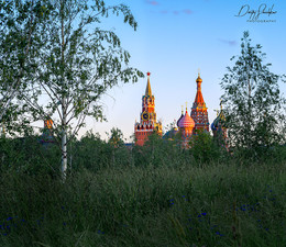 Московский парк Зарядье. Кремль. / Сначала казалось, что забыли подстричь траву. Выяснилось, что таков дизайн. Возможно, осенью сюда пойдем за грибами.