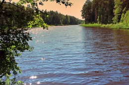 Солнечные зайчики / Солнечные зайчики на воде и листве