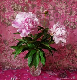 Пионы в вазе / 2018