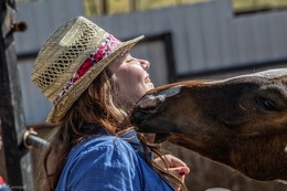Давай знакомиться... / Конное ранчо "Аванпост"