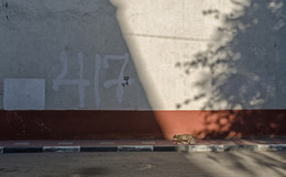 Без названия / ***