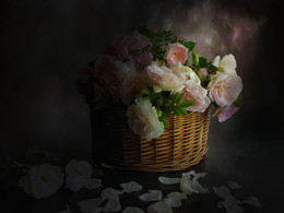still life with pink roses in the basket / still life with pink roses in the basket