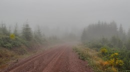 А мы едем, едем за туманом... / Биосферный заповедник, моя вотчина фотографий..