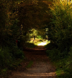 &nbsp; / ОСЕНИ ТОННЕЛЬ