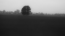 Серое утро ... / Утренний этюд ...