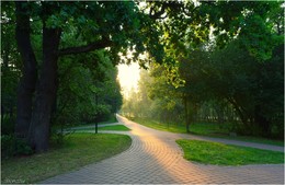 солнечная аллея / ***