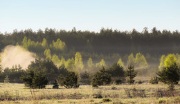 Природа средней полосы в утреннем тумане / Рассветные туманы.