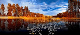 Дождаться вечера. Инфракрасная фотография. / Теплый октябрьский вечер на лесном озере. Инфракрасная съемка.