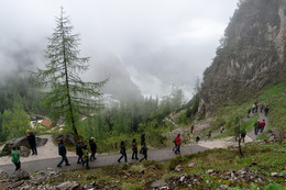 в Альпах / ----