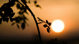 знойный закат / ***