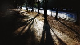куриные лапки / б.о.