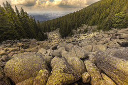 Каменная река / Каменная река Витоша гора - Болгария