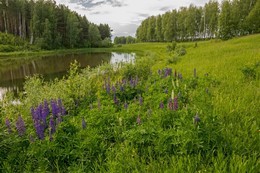 &nbsp; / Татарстан,озеро за п.Ильинское
