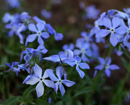 Без названия / Спонтанная съемка вечером