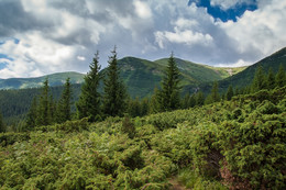 Красоты карпатских гор / восхождение на Говерлу - 2061м.