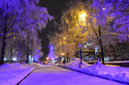 Вечерний Киров: малый сквер на улице Карла Маркса / Сквер вблизи администрации города -- одно из самых &quot;классических&quot; в городе. Подходящее уличное освещение для такого морозного вечера.