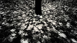 эпицентр / б.о.