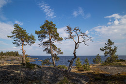 &nbsp; / Ладога, Карелия