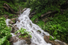 Водопад / Карпатские сюжеты