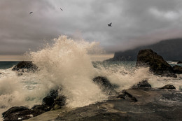 Прибой / Крым,Ласпи,"Изумруд"
