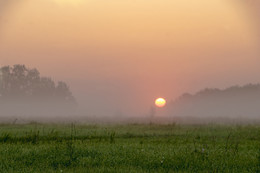 Утро. / Раннее утро,восход солнца между деревьев на лугу в туманной дымке.Саратовская область.
