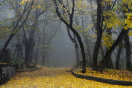 На ковре из жёлтых листьев........ / Железноводск. Октябрь