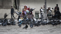 Летите голуби, летите... / В городе Стамбул, Турция.