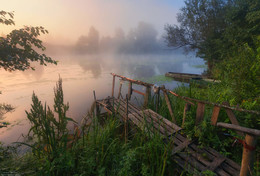 Прекрасное утро. / Московская область, деревня Юркино, река Дубна. 
2 Августа 2018 год.