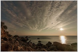 Вечер на море / Крым