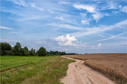 Поле, дорога, лето / ***