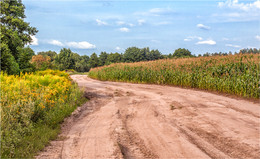 Красочный июль / ***