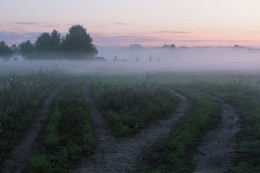 Туманным утром! / Рассвет,туман,дорога