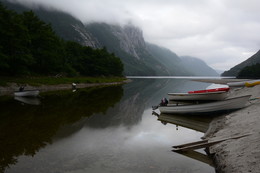 Пасмурное утро. / Снимок сделан в июне в Норвегии, на реке в районе города Ода.