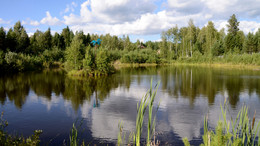 Заброшенное озеро / Рукотворное небольшое озеро, глубиной 5-6 метров.