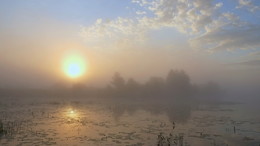 Летнее утро на озере. / Летний рассвет на озере Сосновое.
