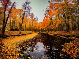 Осенний пруд / тихо и романтично осенью у пруда